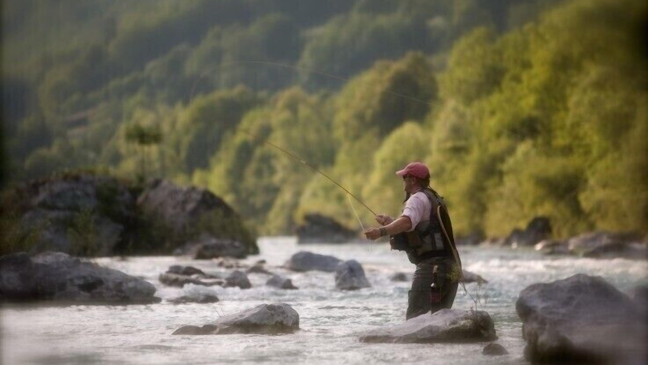 Photo of Others in Bohinjska Bela