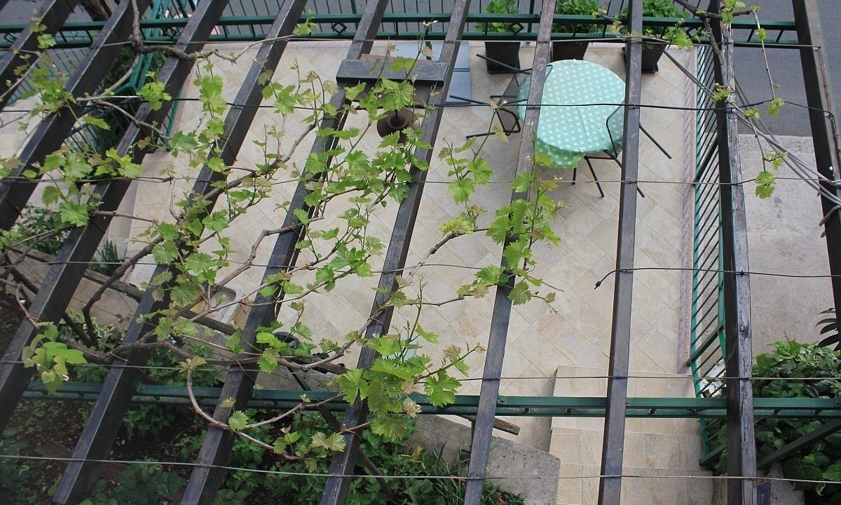 Photo of Outdoor in Obrs