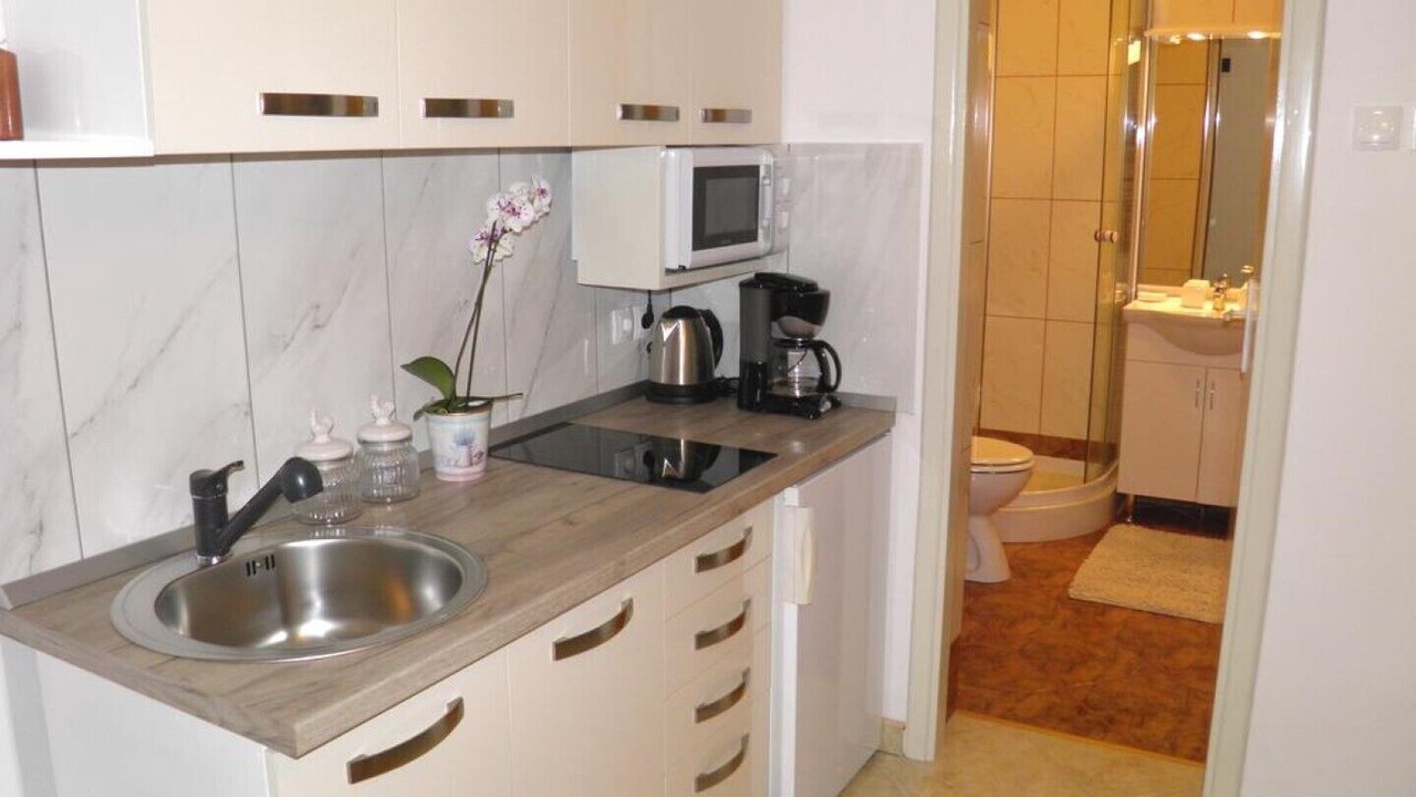 Photo of Kitchen in Bogovici