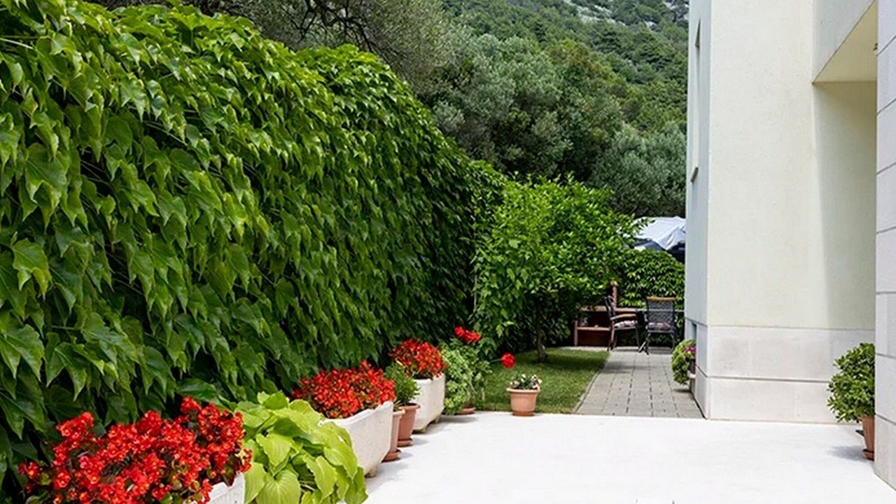 Photo of Outdoor in Igrane