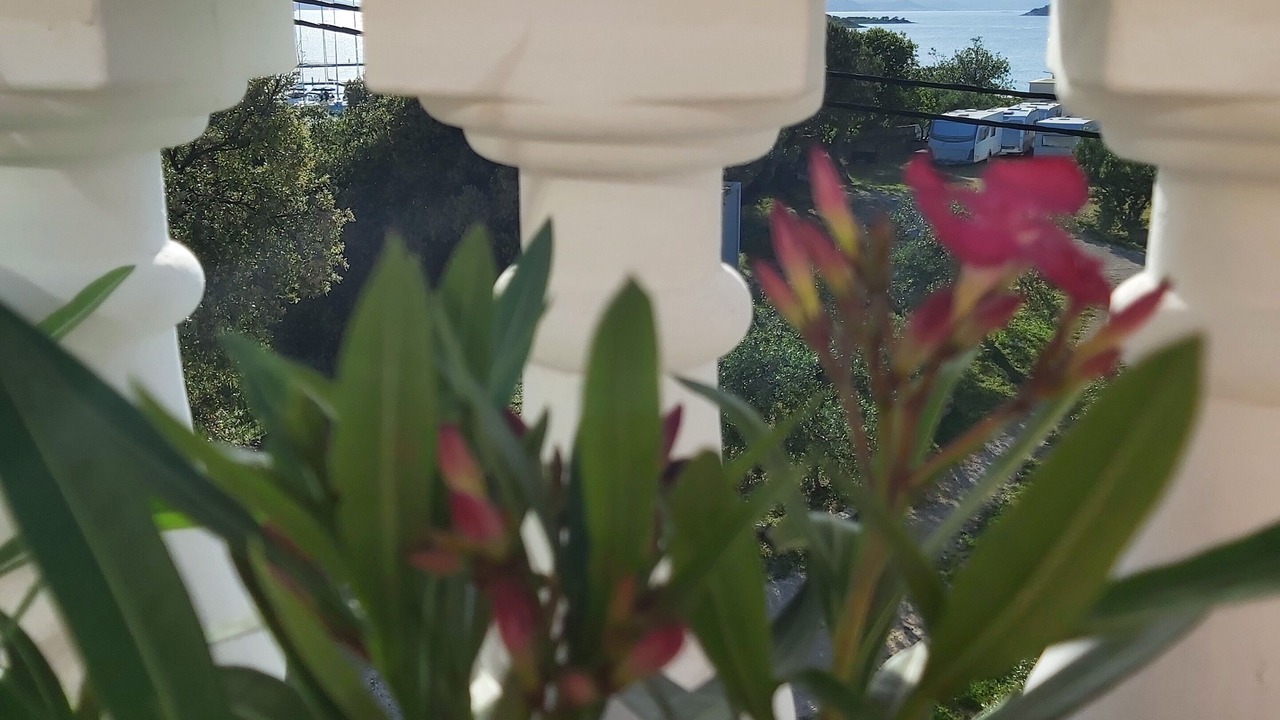 Photo of Outdoor in Drage