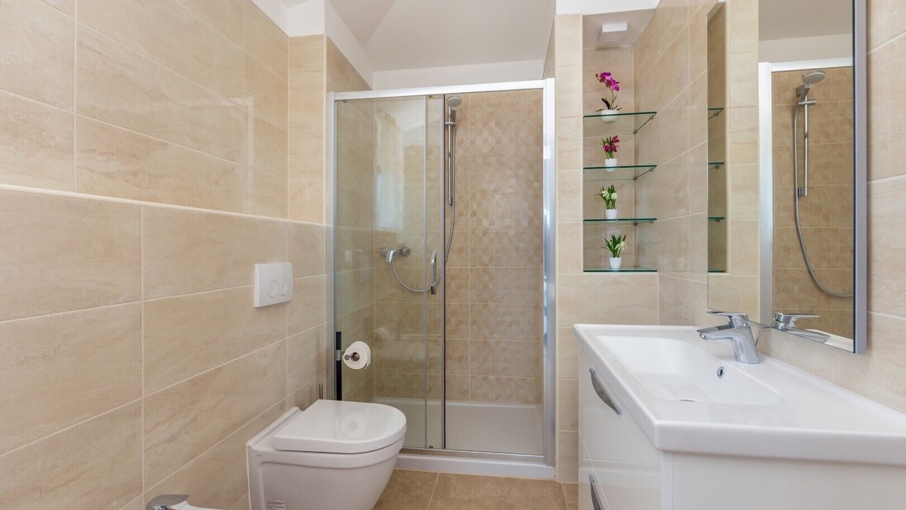 Photo of Bathroom in Milovcici