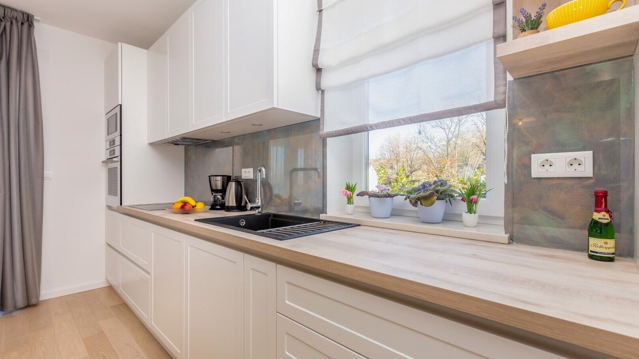 Photo of Kitchen in Milovcici