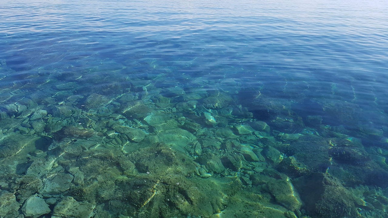 Photo of Others in Island Hvar