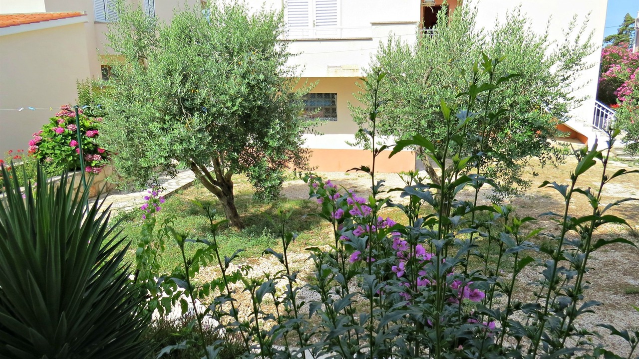 Photo of Outdoor in Zrce