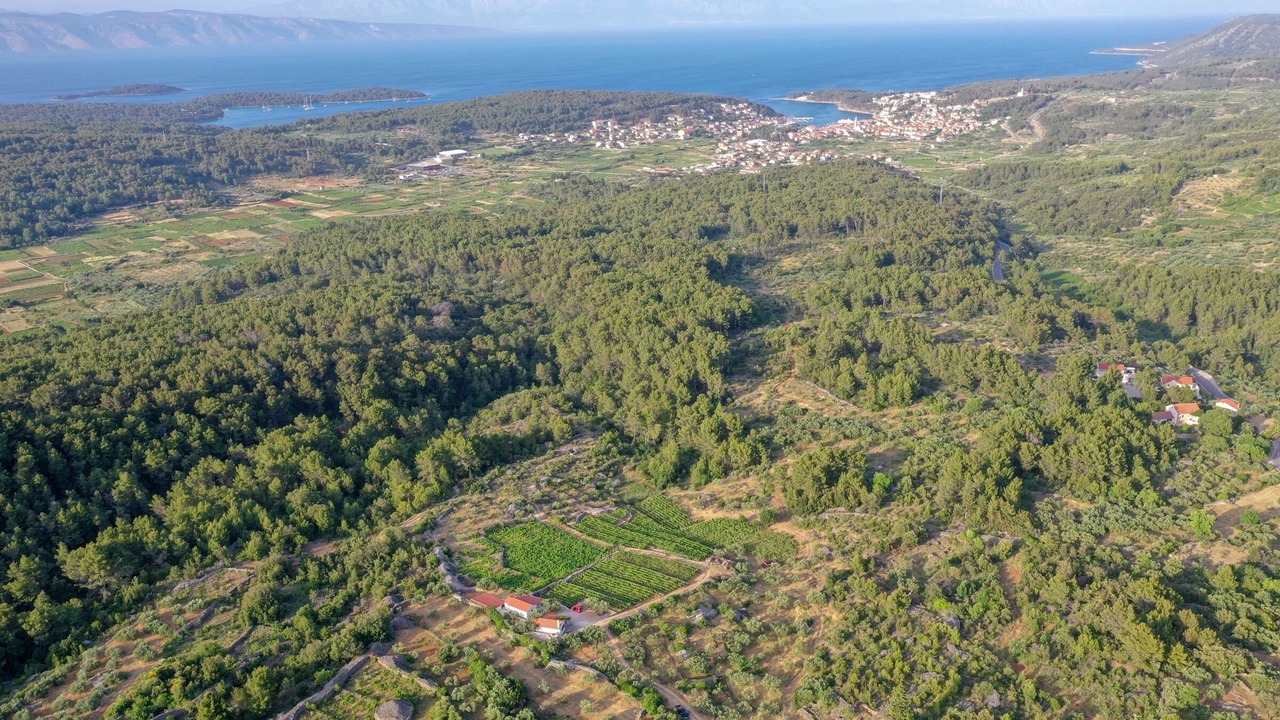 Photo of Outdoor in Pitve