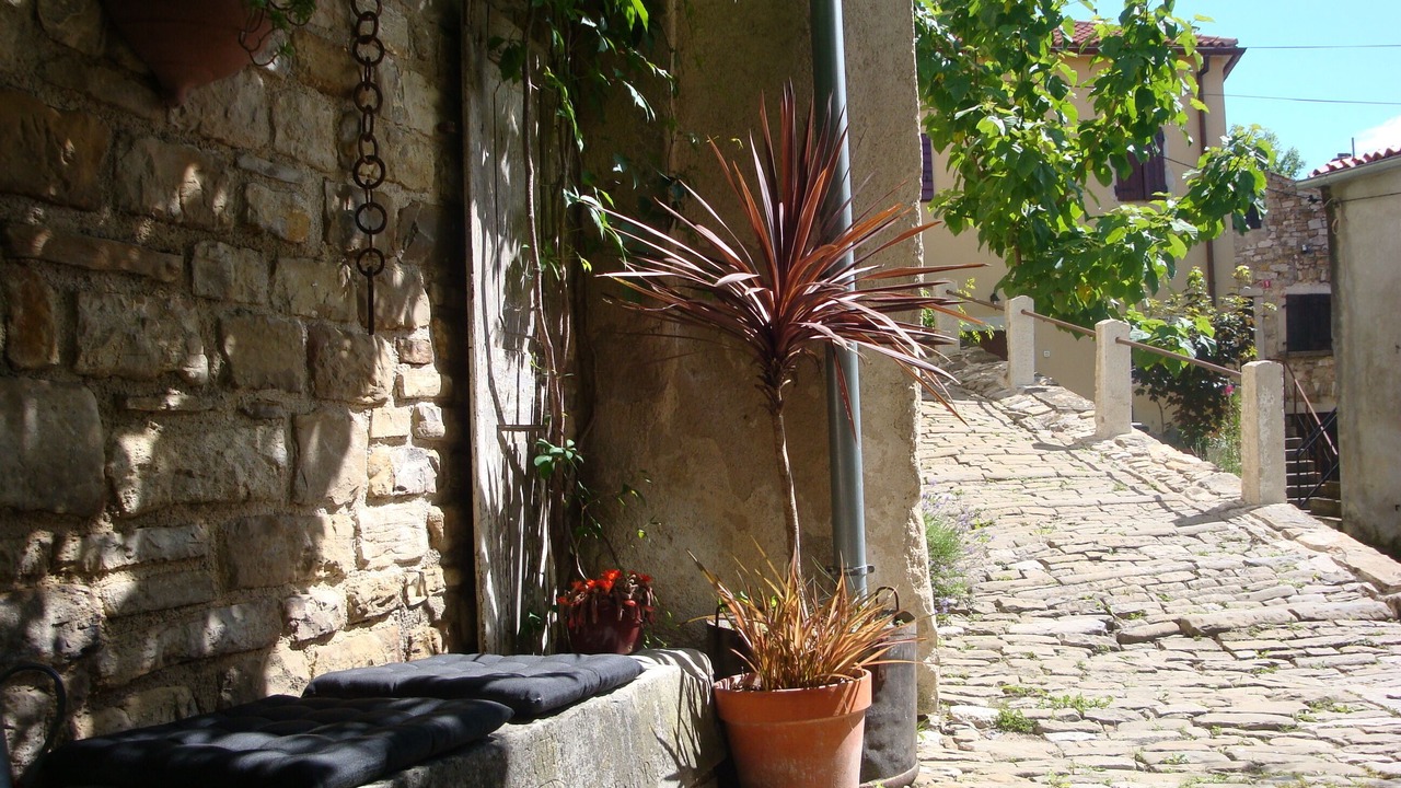 Photo of Outdoor in Motovun