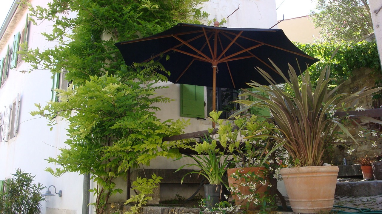 Photo of Outdoor in Motovun