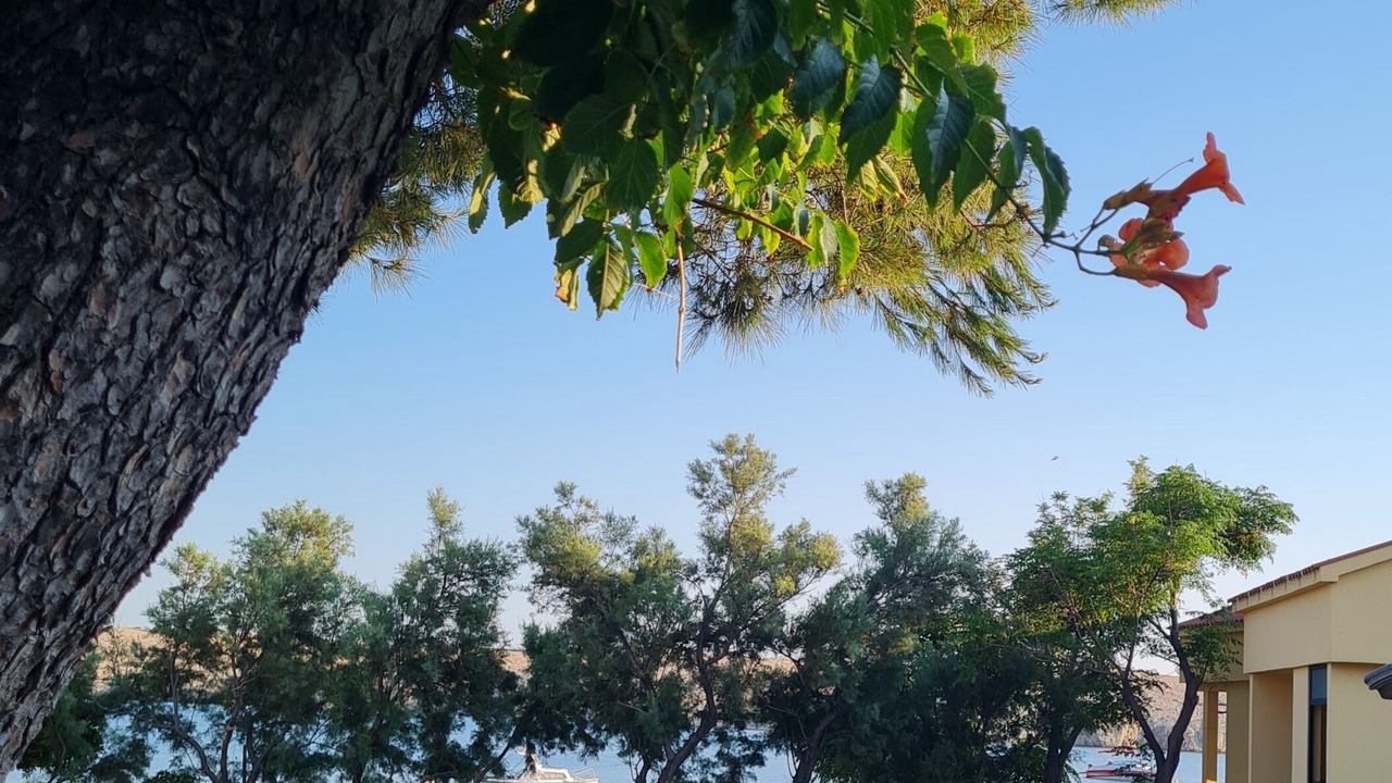 Photo of Outdoor in Dinjiska