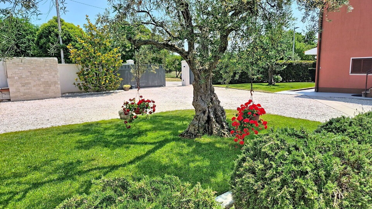 Photo of Outdoor in Valica