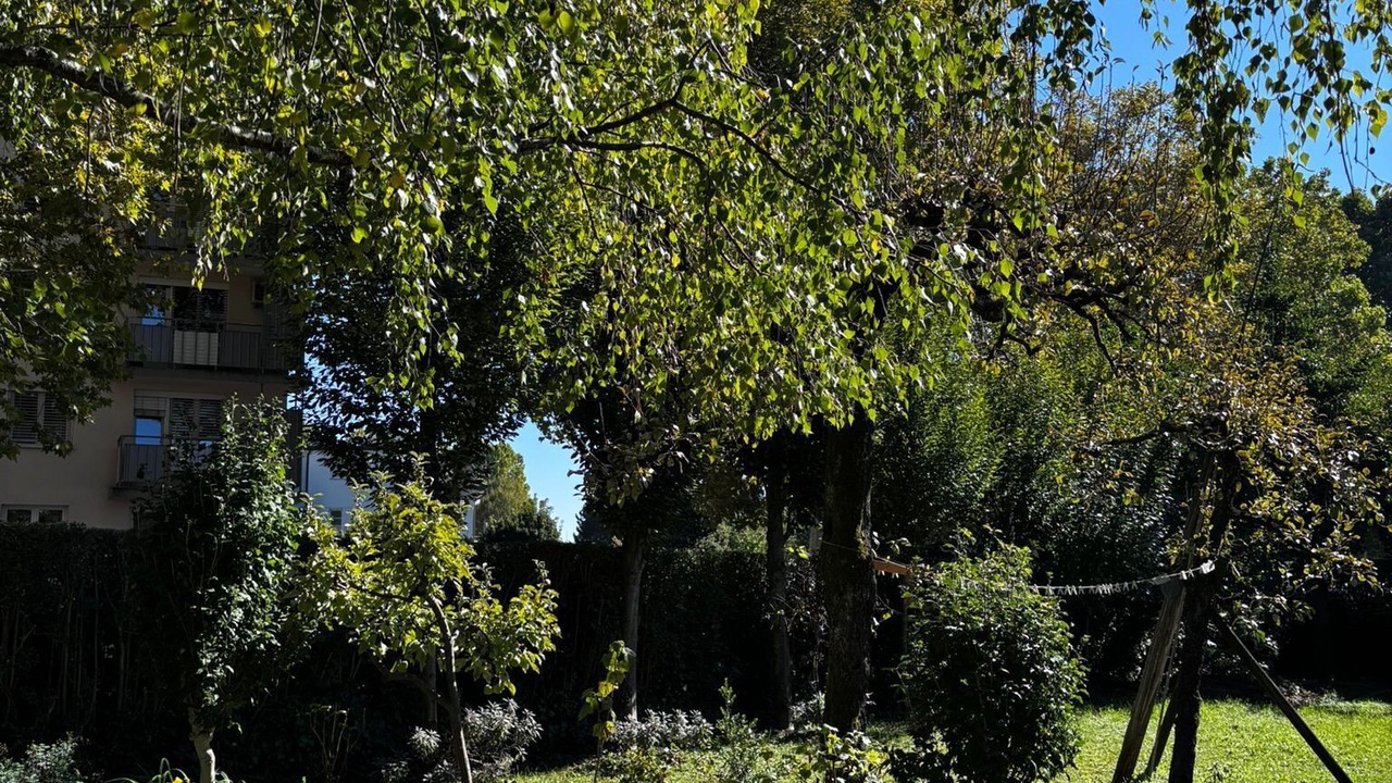 Photo of Outdoor in Maribor