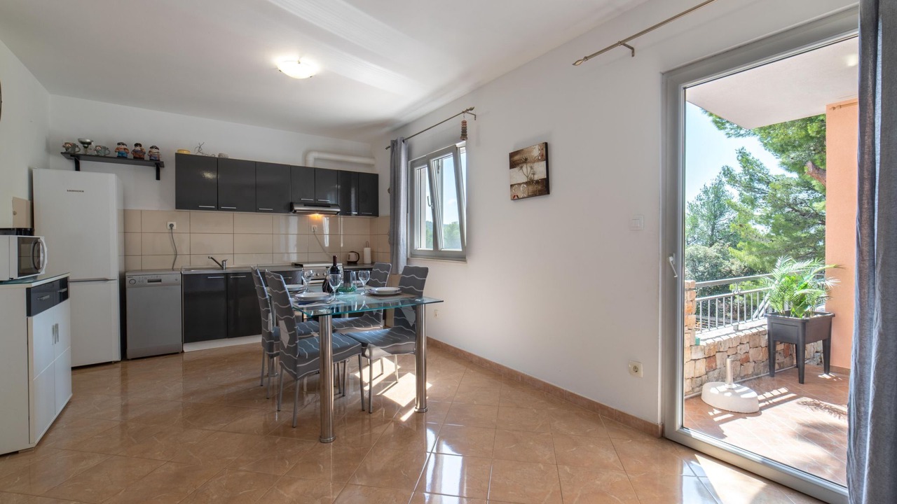Photo of Kitchen in Milna (Brac)