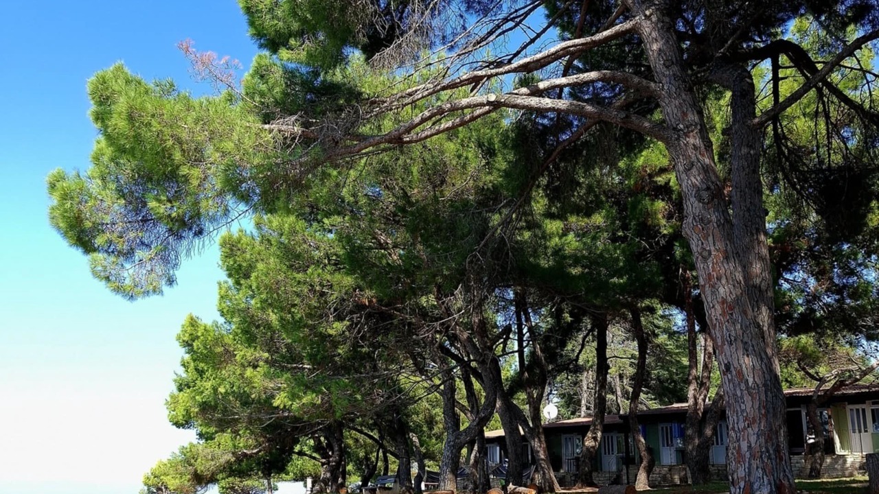 Photo of Outdoor in Novigrad