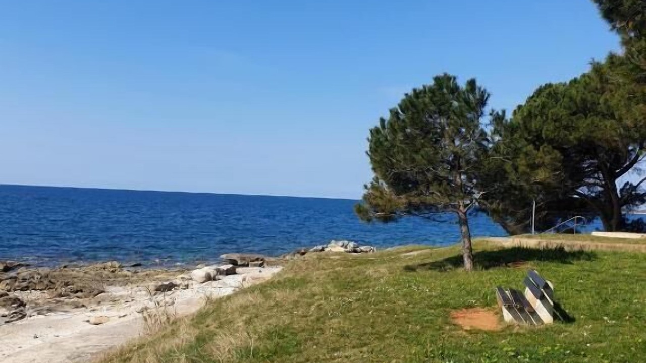 Photo of Others in Novigrad