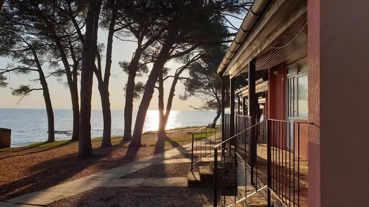 Photo of Outdoor in Novigrad