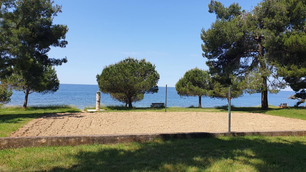 Photo of Others in Novigrad
