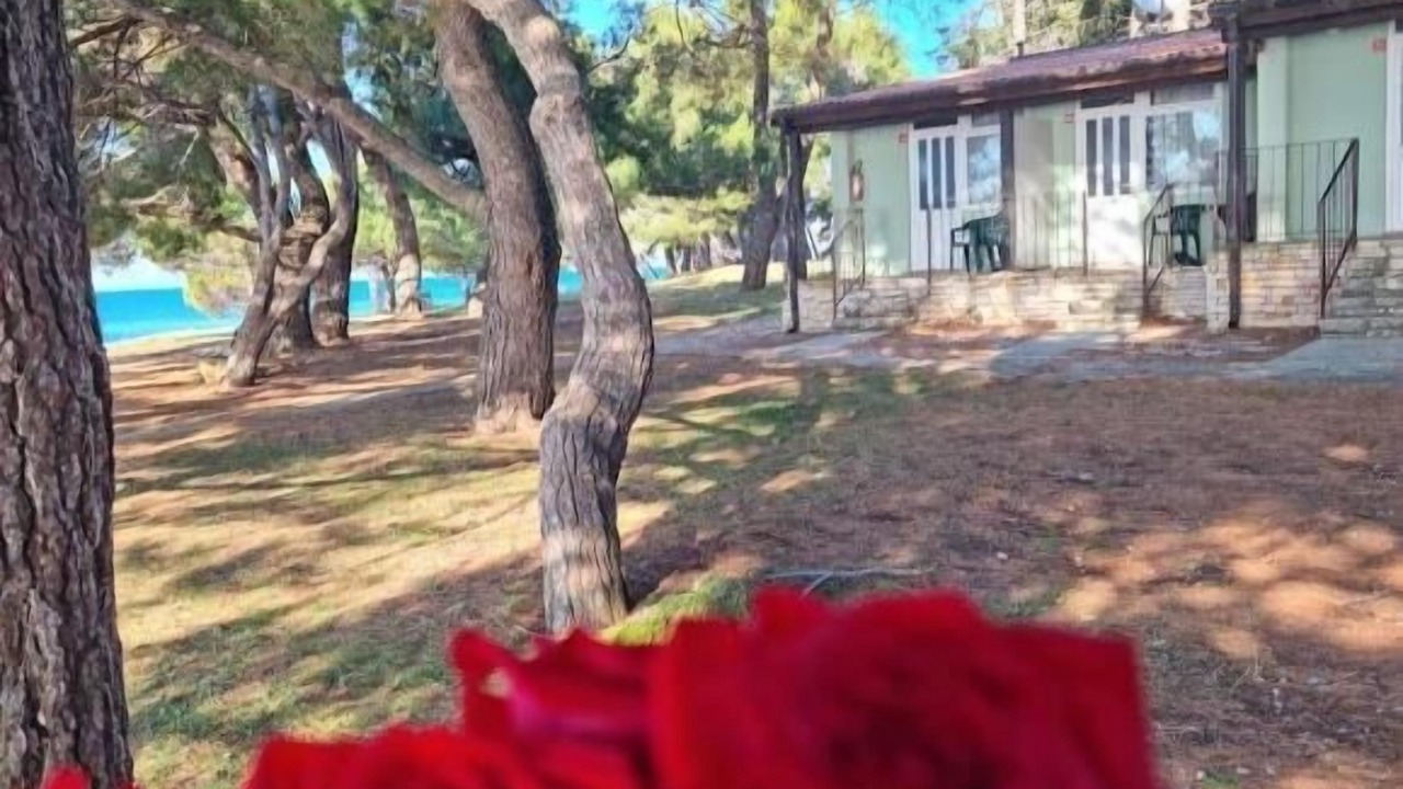 Photo of Outdoor in Novigrad