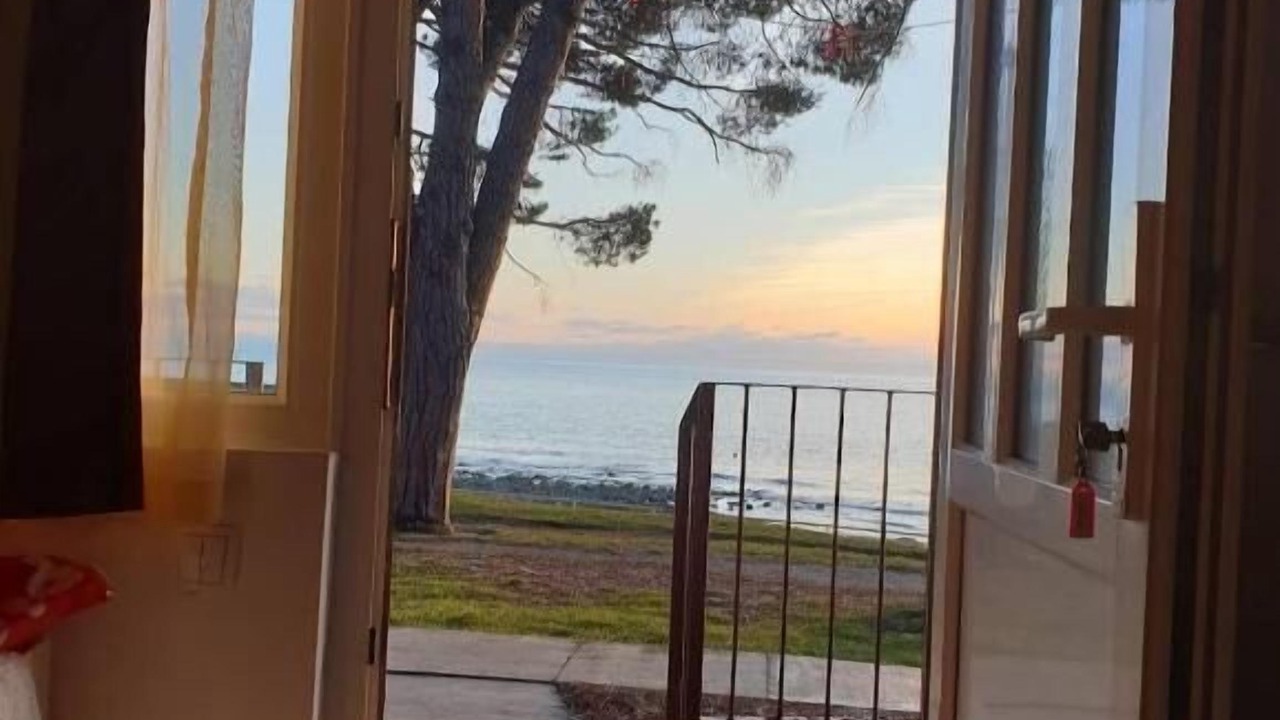 Photo of Others in Novigrad
