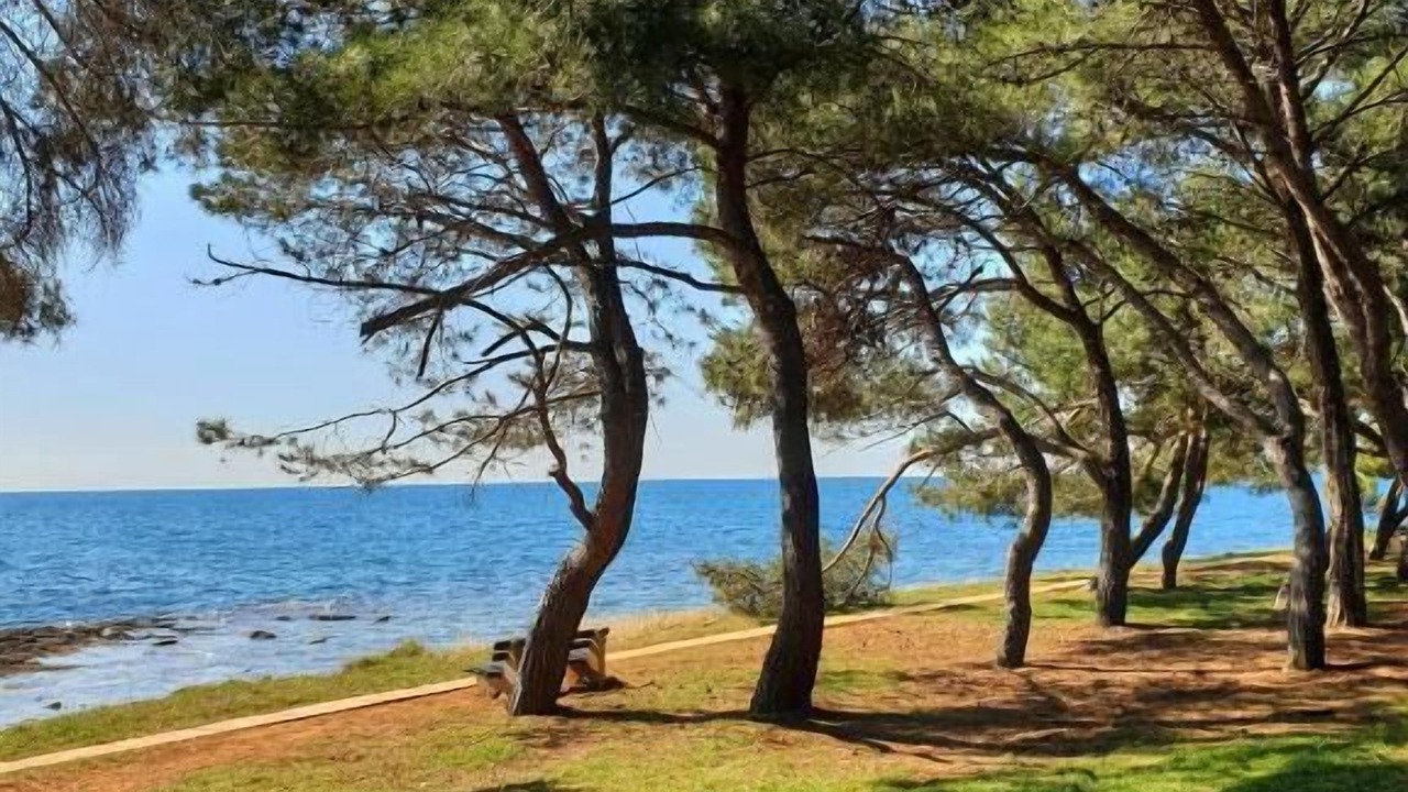Photo of Others in Novigrad