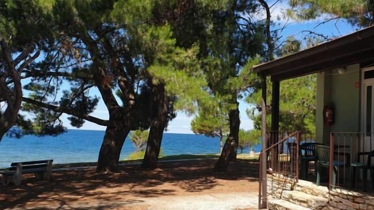 Photo of Outdoor in Novigrad
