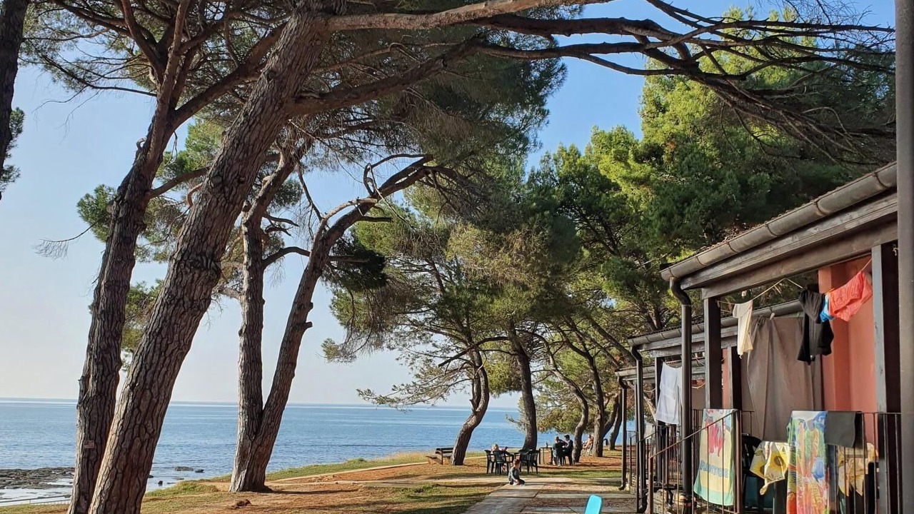 Photo of Outdoor in Novigrad