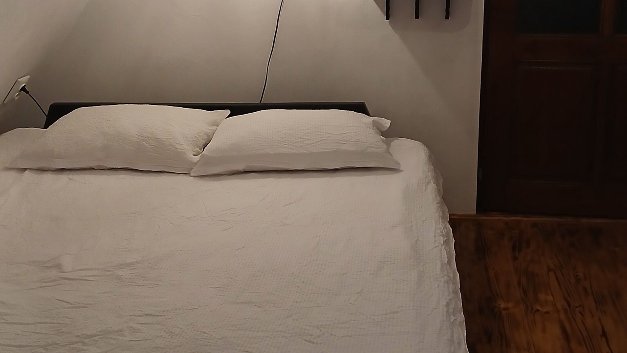 Photo of Bedroom in Gornesti