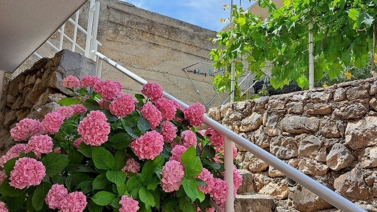 Photo of Outdoor in Igrane
