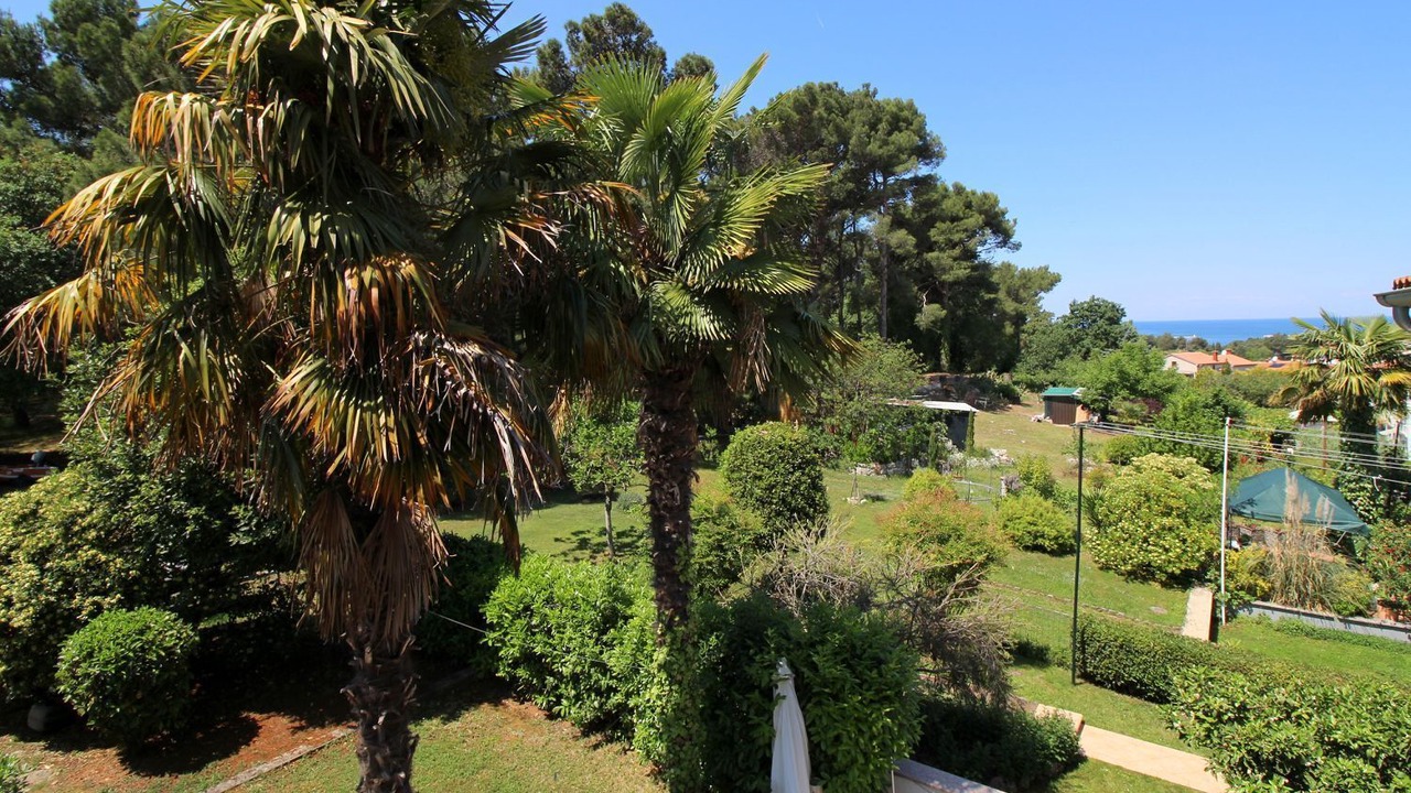 Photo of Outdoor in Brulo