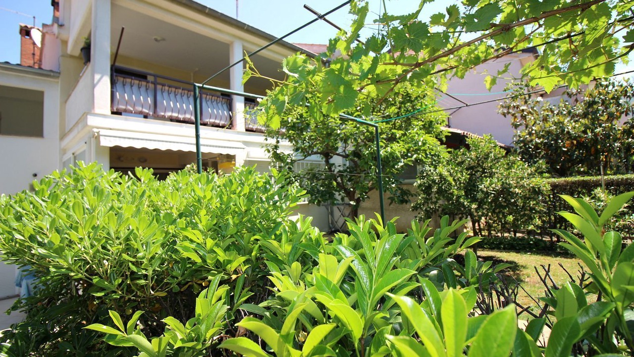 Photo of Outdoor in Brulo