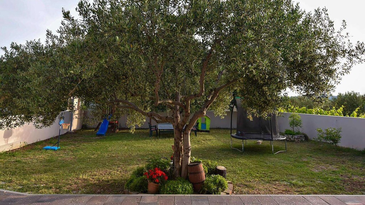 Photo of Others in Sveti Petar