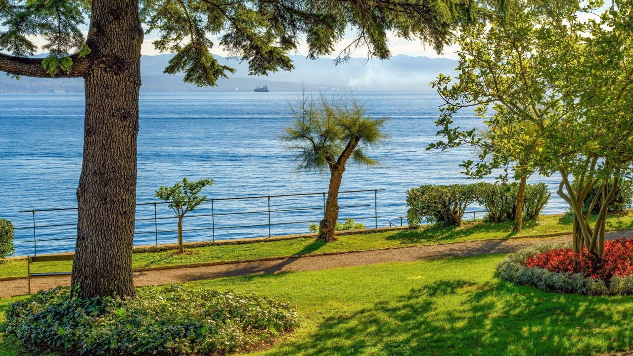 Photo of Outdoor in Medveja