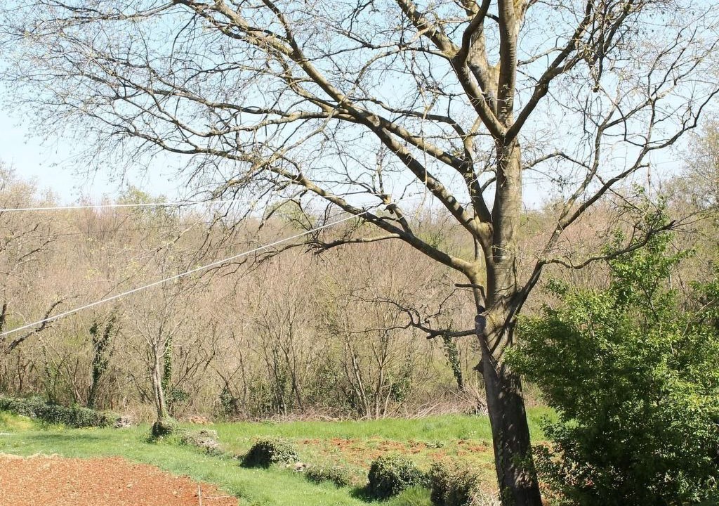 Photo of Others in Pinezici