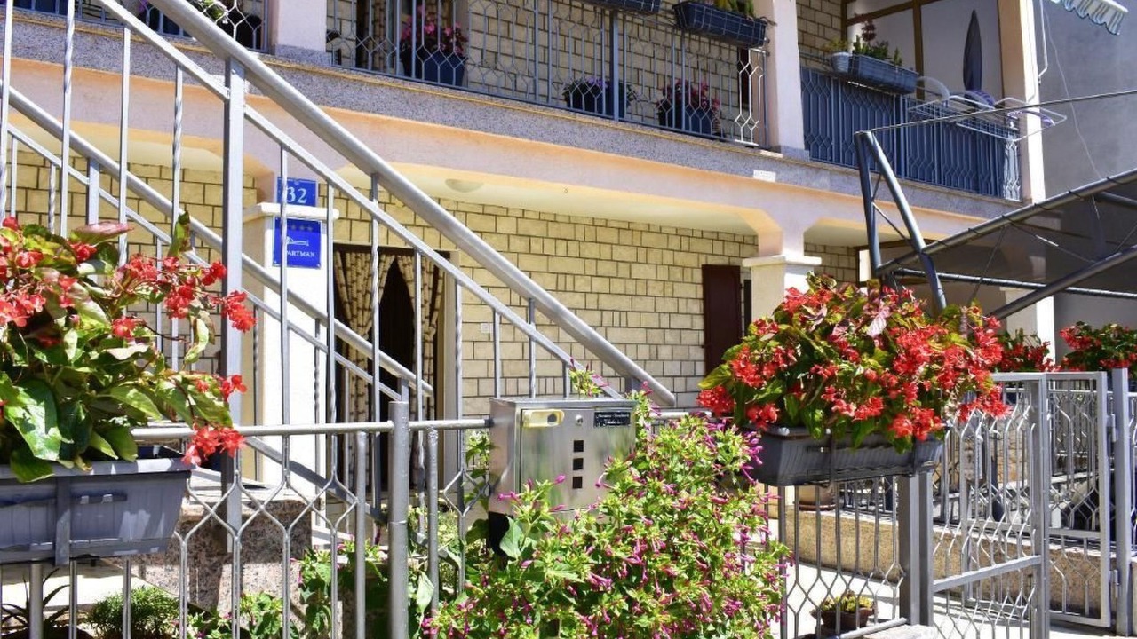 Photo of Outdoor in Murine