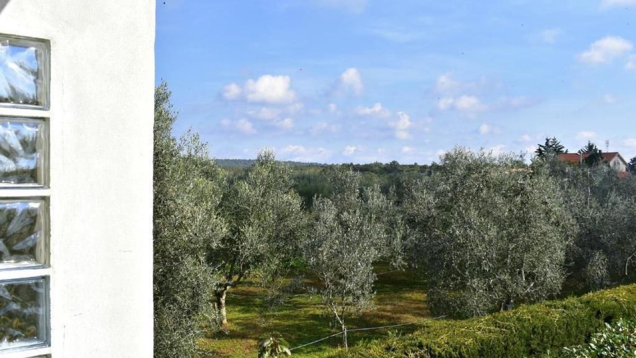 Photo of Outdoor in Valica