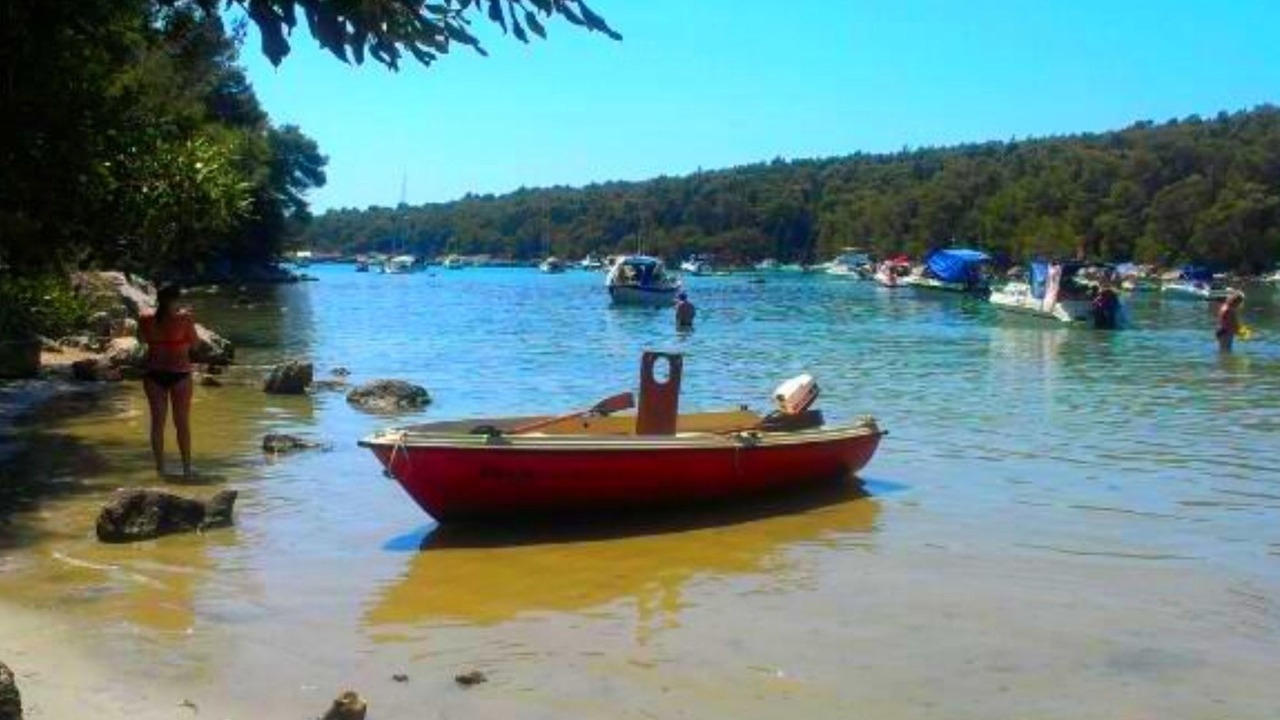 Photo of Others in Suha Punta