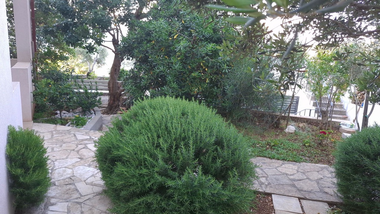 Photo of Outdoor in Rogac