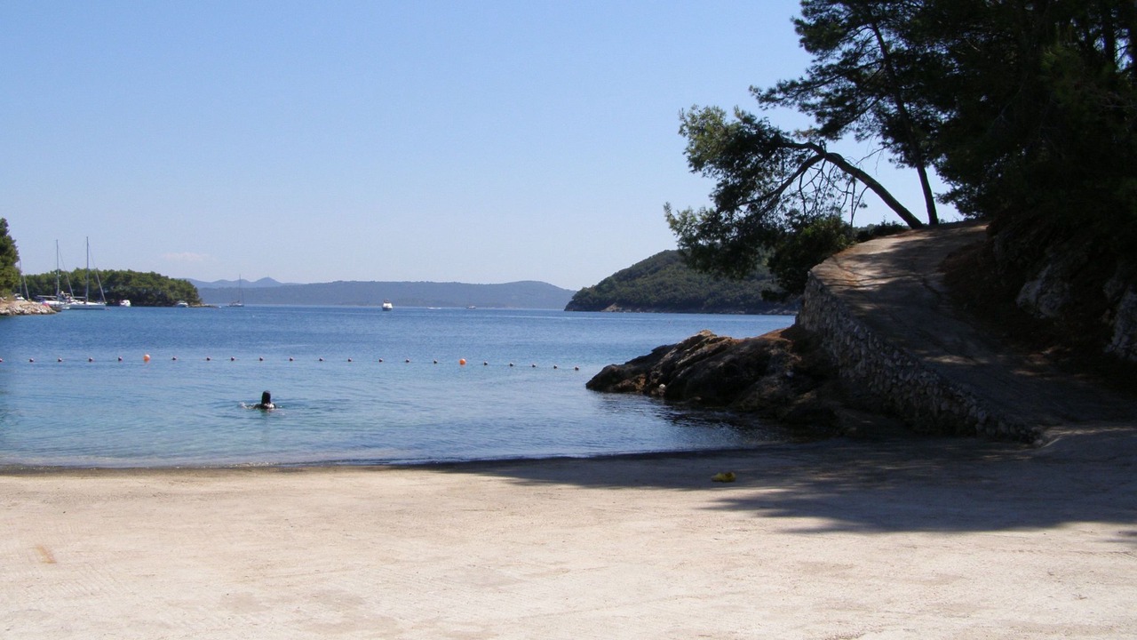 Photo of Others in Brbinj