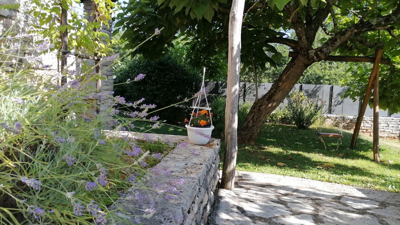 Photo of Others in Bazgalji