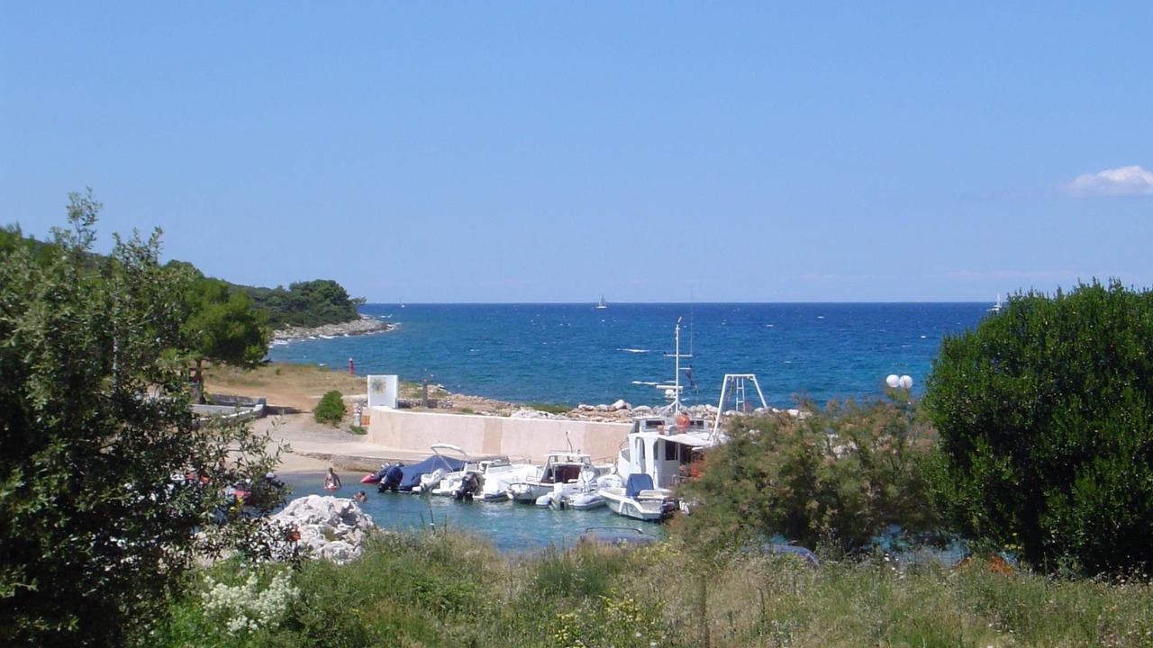 Photo of Others in Muline