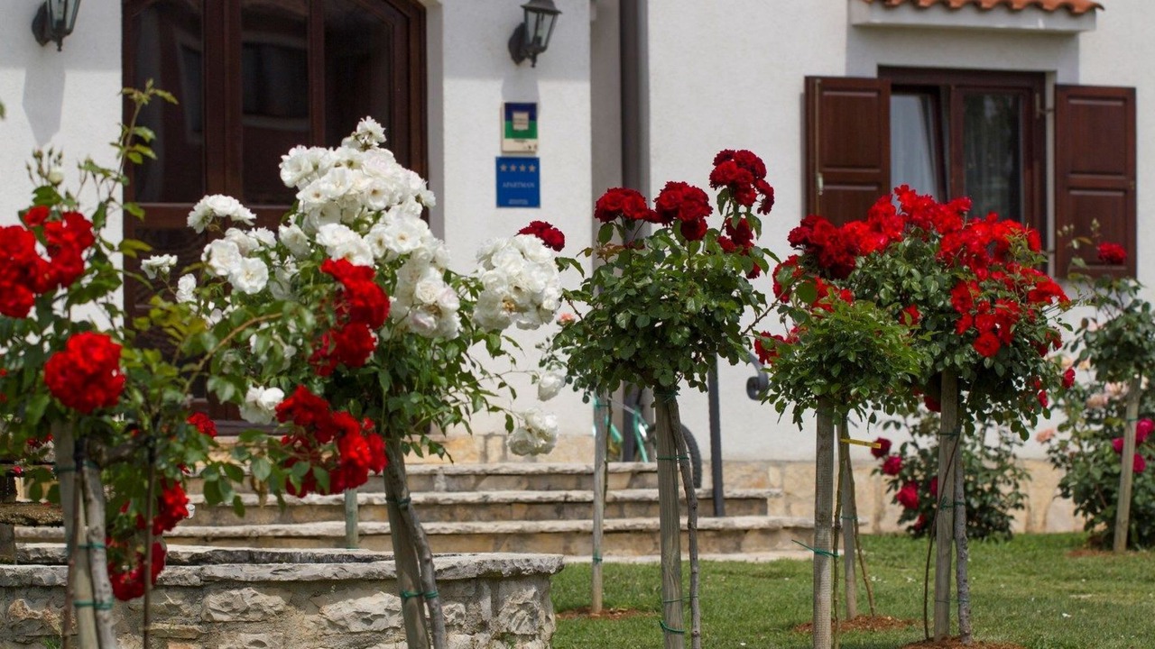 Photo of Outdoor in Funtana