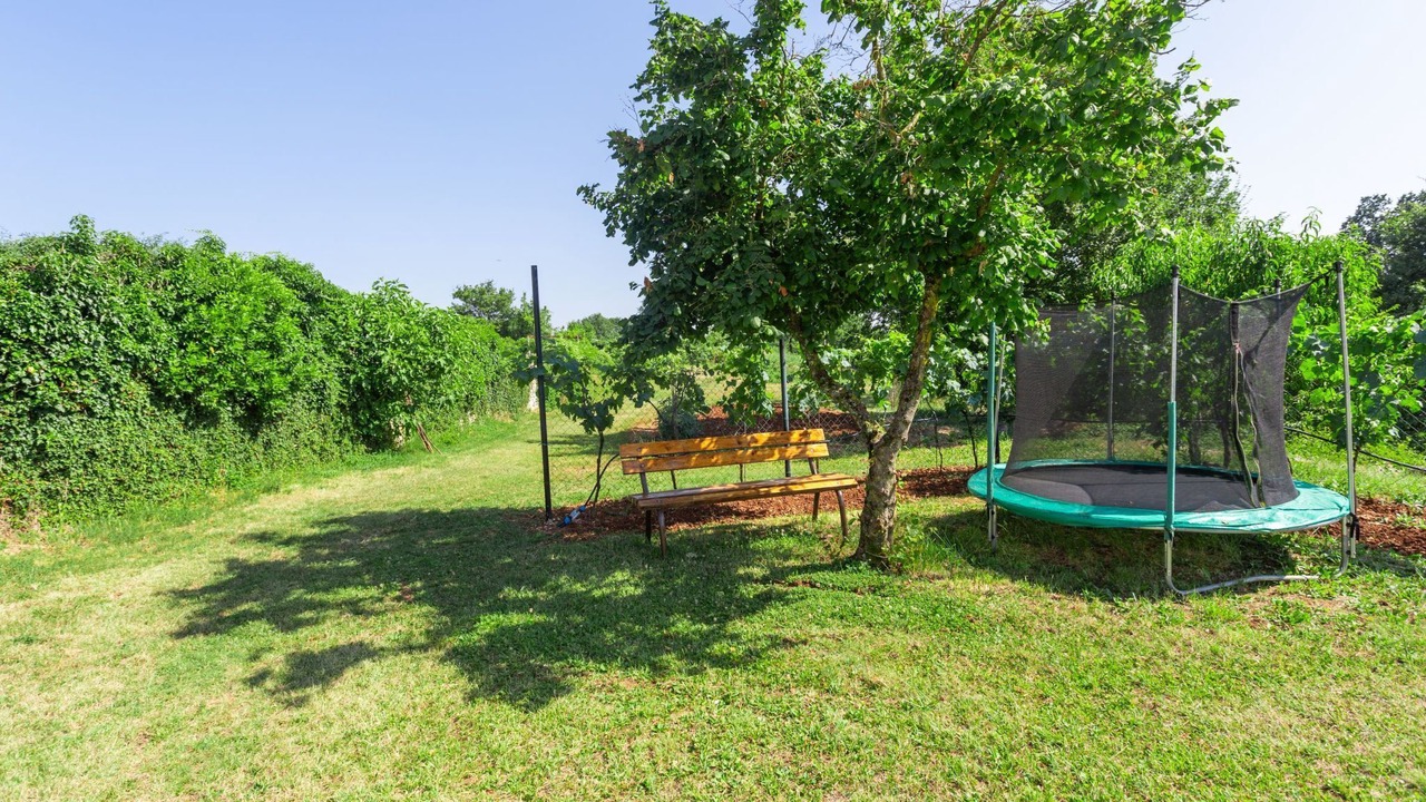 Photo of Outdoor in Kringa