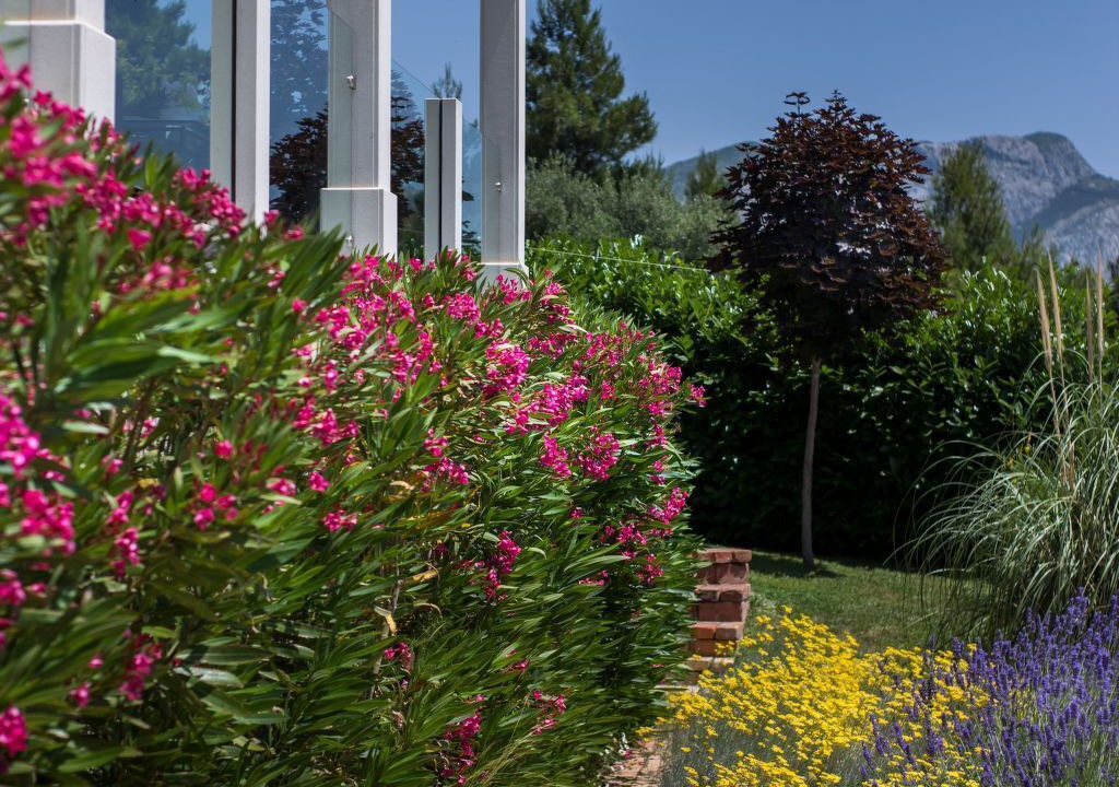 Photo of Outdoor in Duce