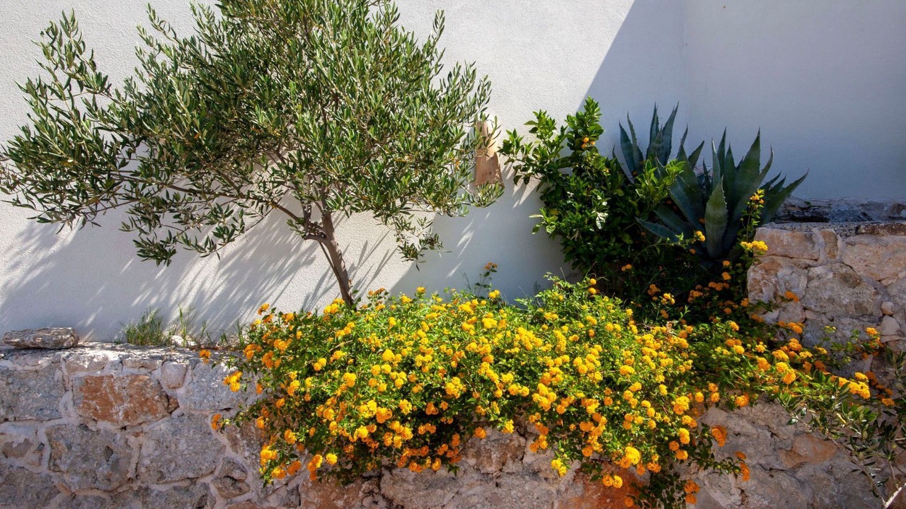Photo of Outdoor in Podgora