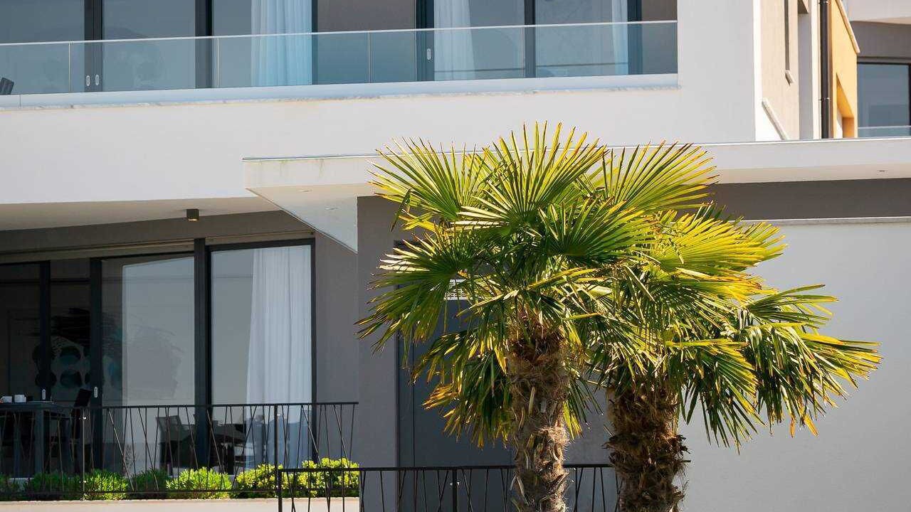 Photo of Outdoor in Zidarici