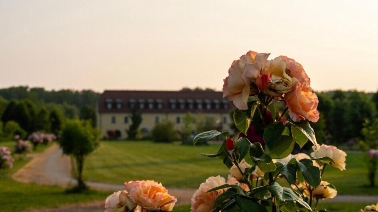 Photo of Outdoor in Lekenik