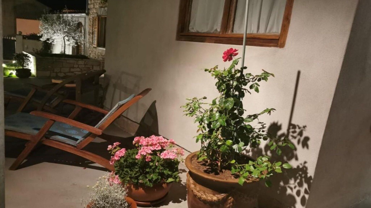 Photo of Outdoor in Loborika