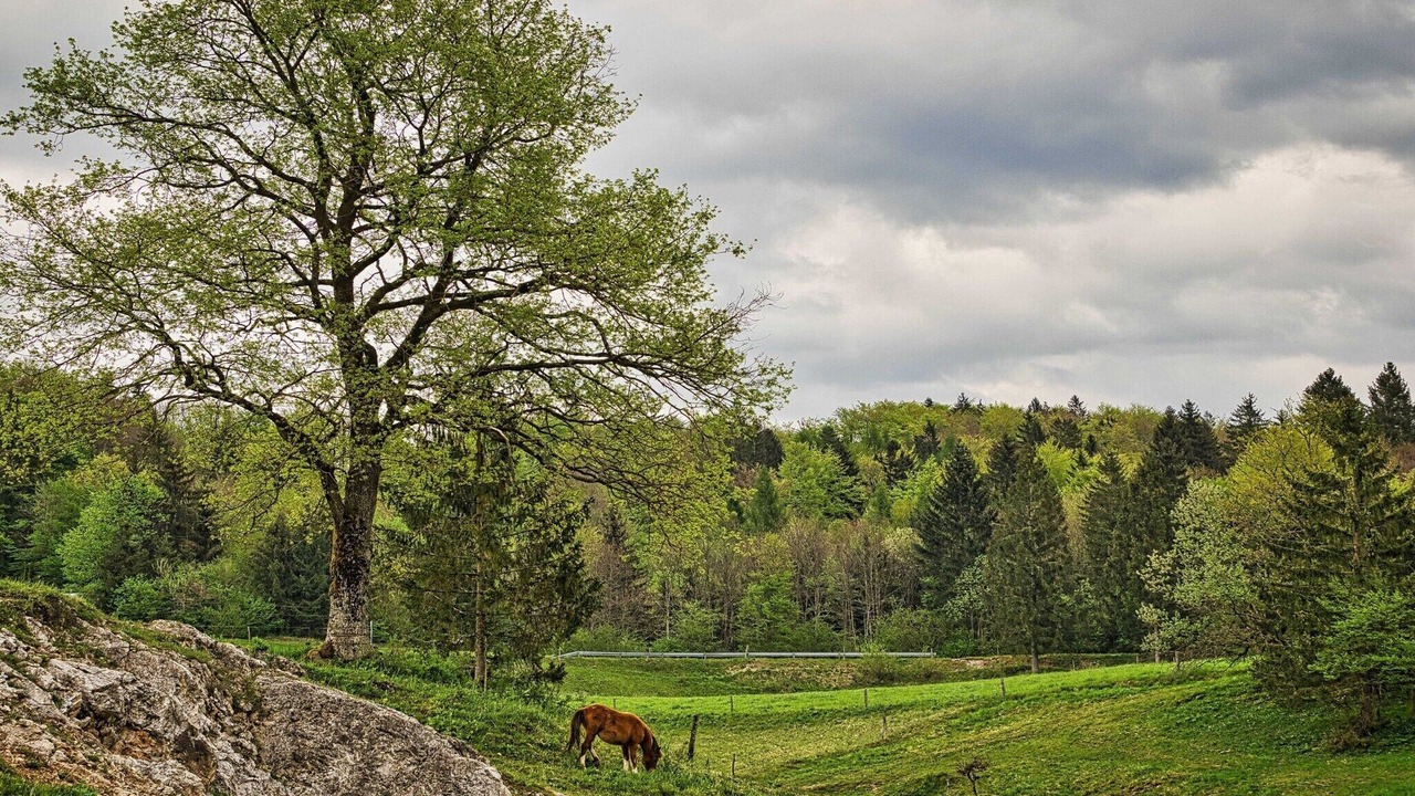 Photo of Outdoor in Ivancna Gorica