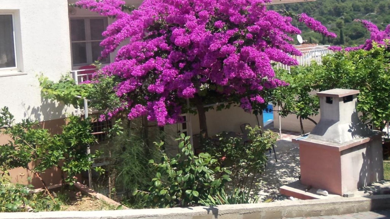 Photo of Outdoor in Okrug Gornji