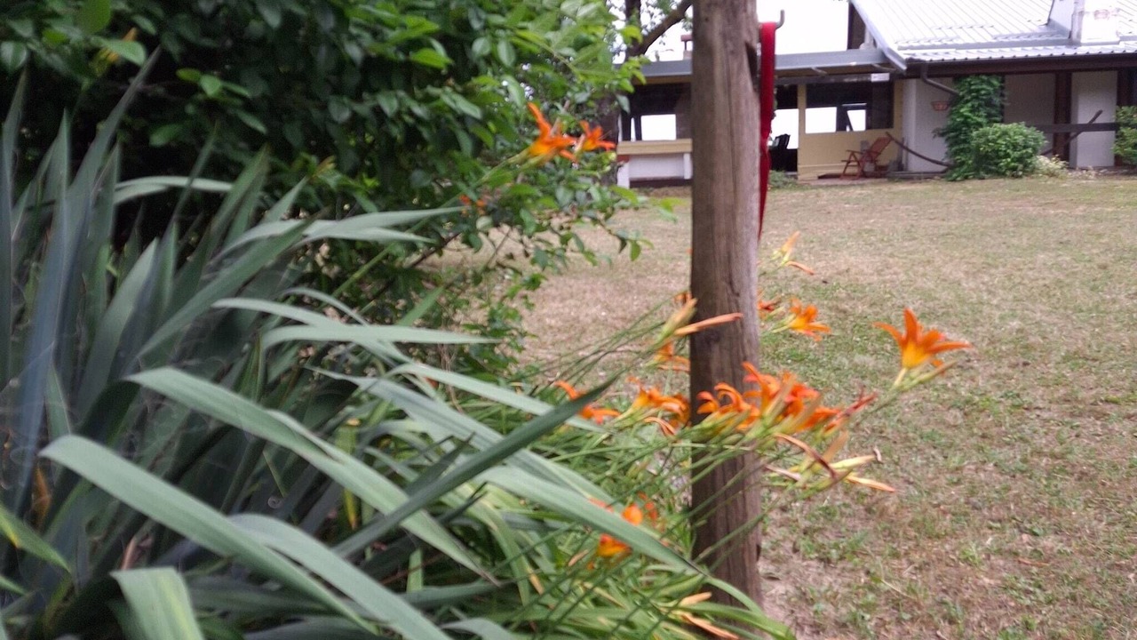 Photo of Outdoor in Erdut