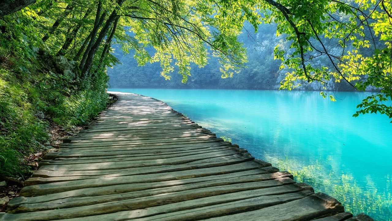 Photo of Outdoor in Irinovac